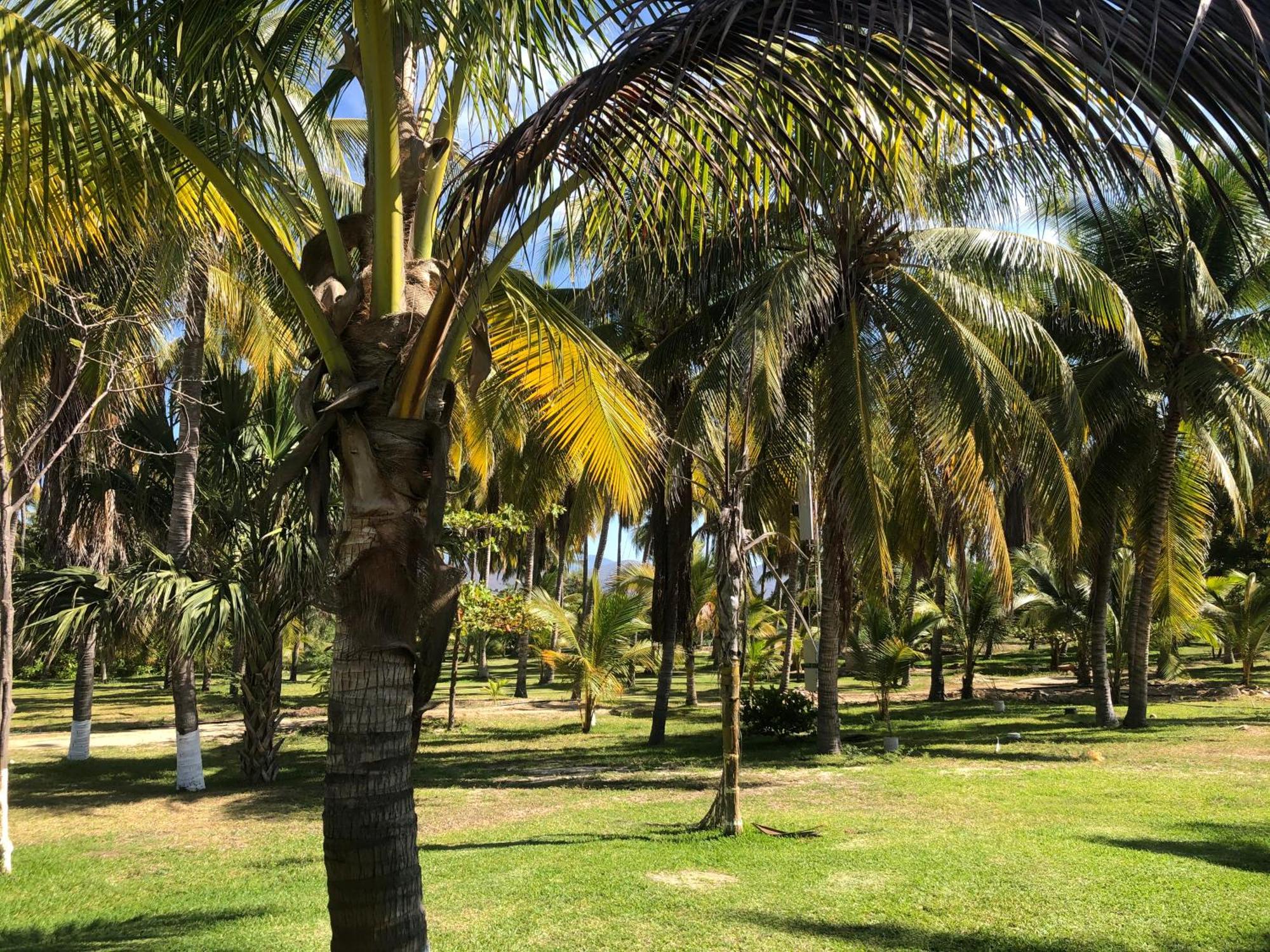 Casa Kundavi Beach Front Paradise Recado Extérieur photo